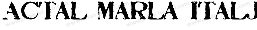 Actal Marla Italjc字体转换